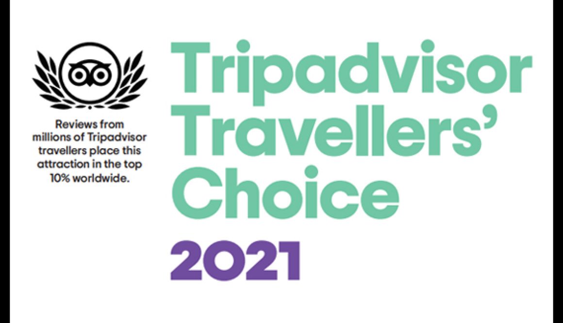 CAPA TRIPADVISOR CAPA TRIPADVISOR